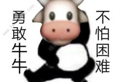 牛牛在线免费视频,畅享海量精彩内容，轻松解锁娱乐新境界